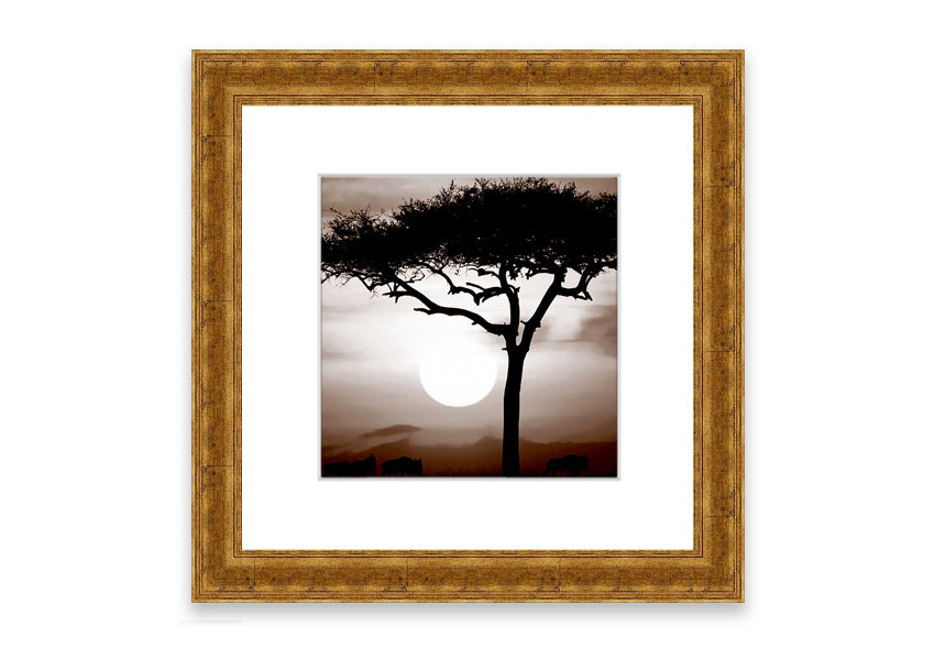 A beautifully framed African Safari Brown print showcasing rich earthy tones, ready to hang on a wall.