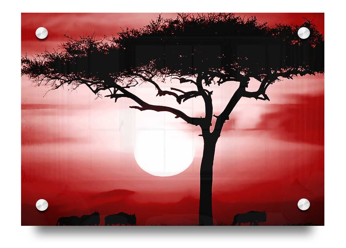 Vibrant African Safari Red acrylic print on 5mm thick glass, showcasing stunning colors and ready to hang.