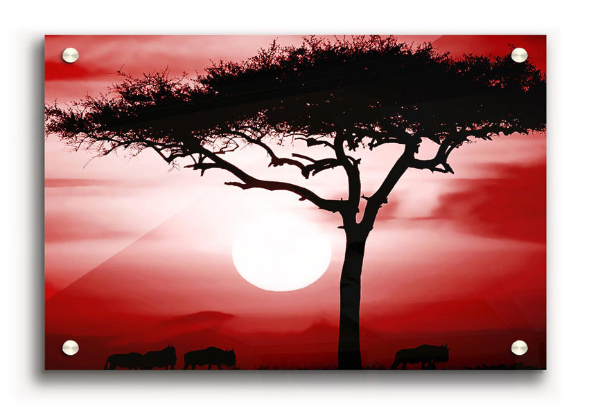 Vibrant African Safari Red acrylic print on 5mm thick glass, showcasing stunning colors and ready to hang.