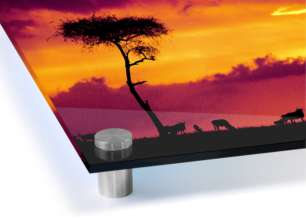 Acrylic print of an African sunset, showcasing vibrant colors over a savannah landscape.