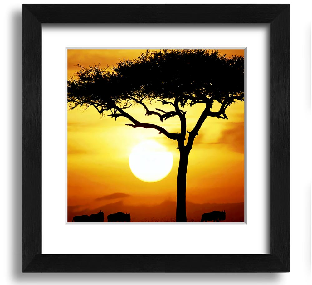 A beautifully framed print of an African Safari Tree illuminated by sunlight, showcasing vibrant colors and intricate details.