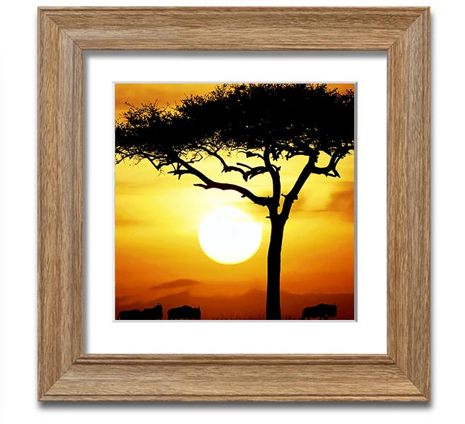 A beautifully framed print of an African Safari Tree illuminated by sunlight, showcasing vibrant colors and intricate details.