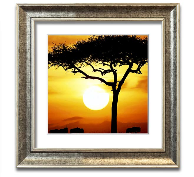 A beautifully framed print of an African Safari Tree illuminated by sunlight, showcasing vibrant colors and intricate details.