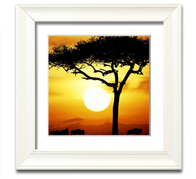 A beautifully framed print of an African Safari Tree illuminated by sunlight, showcasing vibrant colors and intricate details.