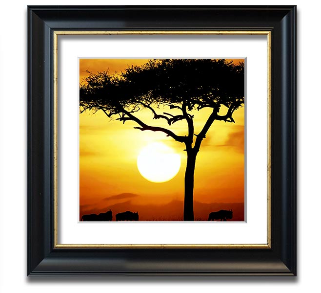 A beautifully framed print of an African Safari Tree illuminated by sunlight, showcasing vibrant colors and intricate details.