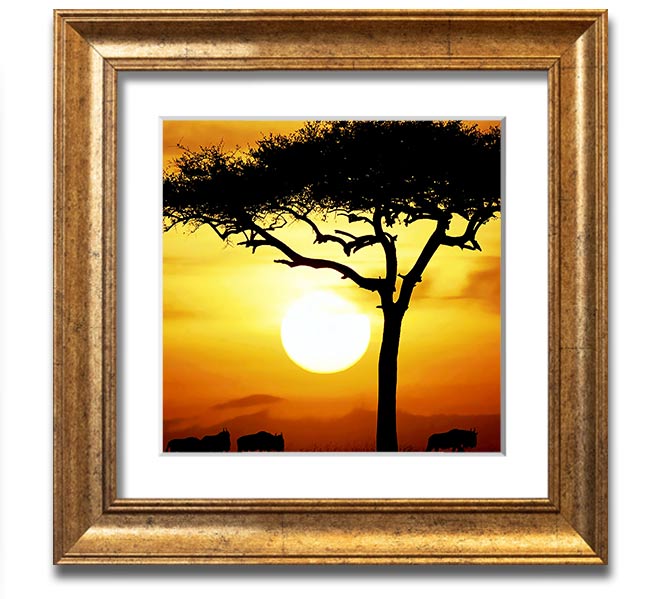 A beautifully framed print of an African Safari Tree illuminated by sunlight, showcasing vibrant colors and intricate details.