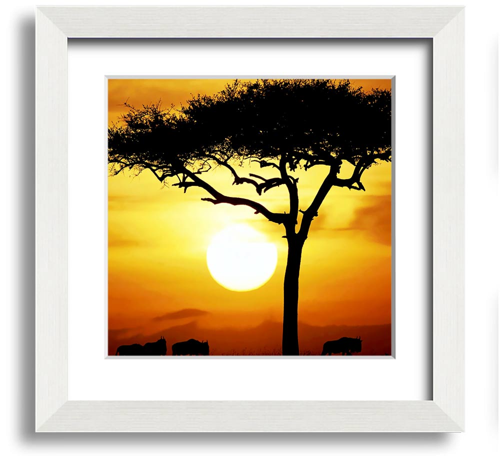 A beautifully framed print of an African Safari Tree illuminated by sunlight, showcasing vibrant colors and intricate details.