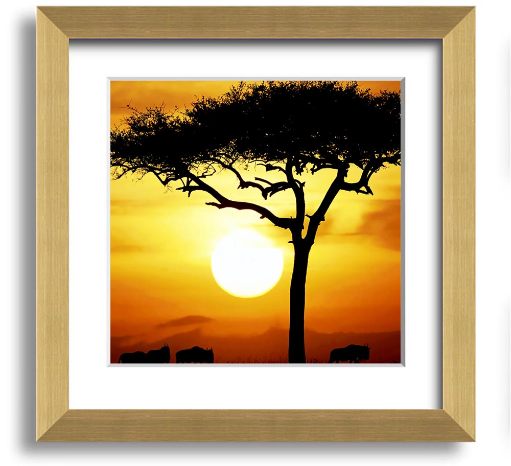 A beautifully framed print of an African Safari Tree illuminated by sunlight, showcasing vibrant colors and intricate details.