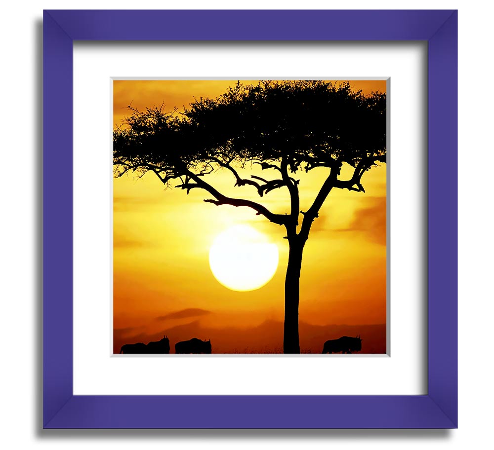 A beautifully framed print of an African Safari Tree illuminated by sunlight, showcasing vibrant colors and intricate details.