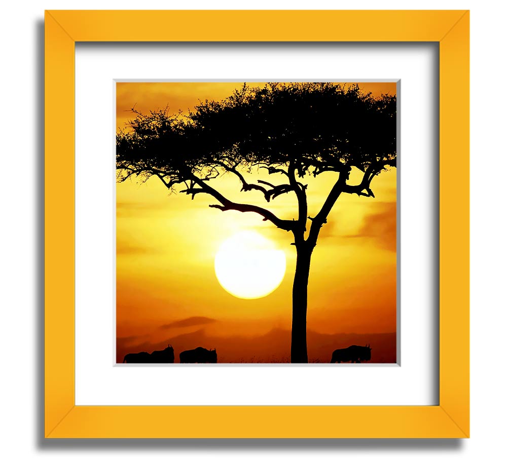 A beautifully framed print of an African Safari Tree illuminated by sunlight, showcasing vibrant colors and intricate details.