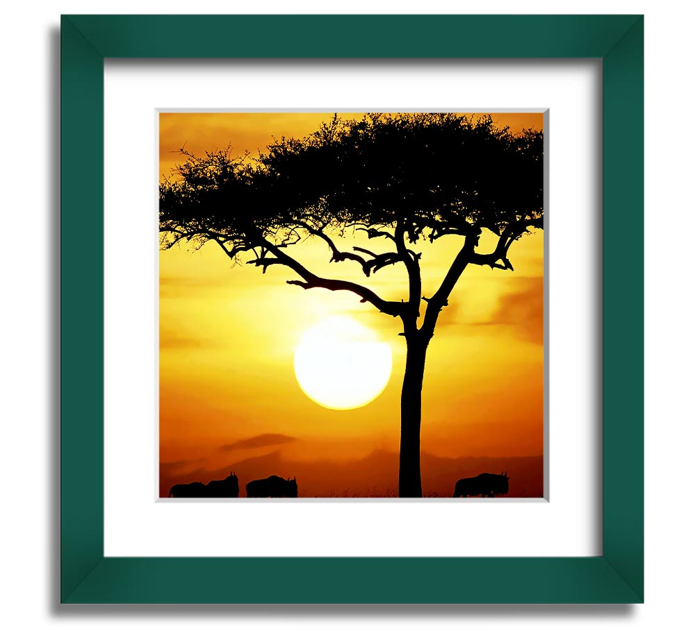 A beautifully framed print of an African Safari Tree illuminated by sunlight, showcasing vibrant colors and intricate details.