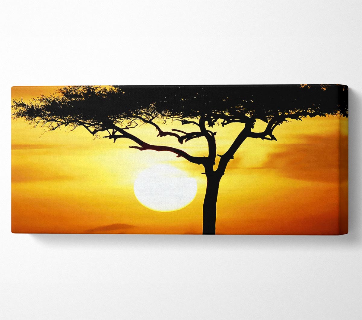 A vibrant canvas print of an African safari tree illuminated by sunlight, mounted on a sturdy box frame, ready to hang.