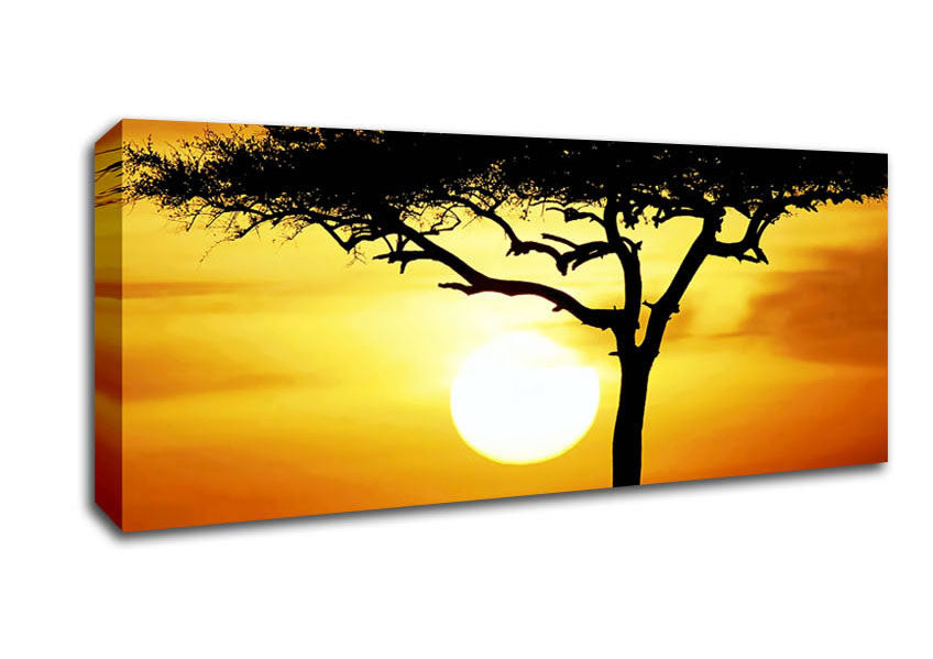 A vibrant canvas print of an African safari tree illuminated by sunlight, mounted on a sturdy box frame, ready to hang.