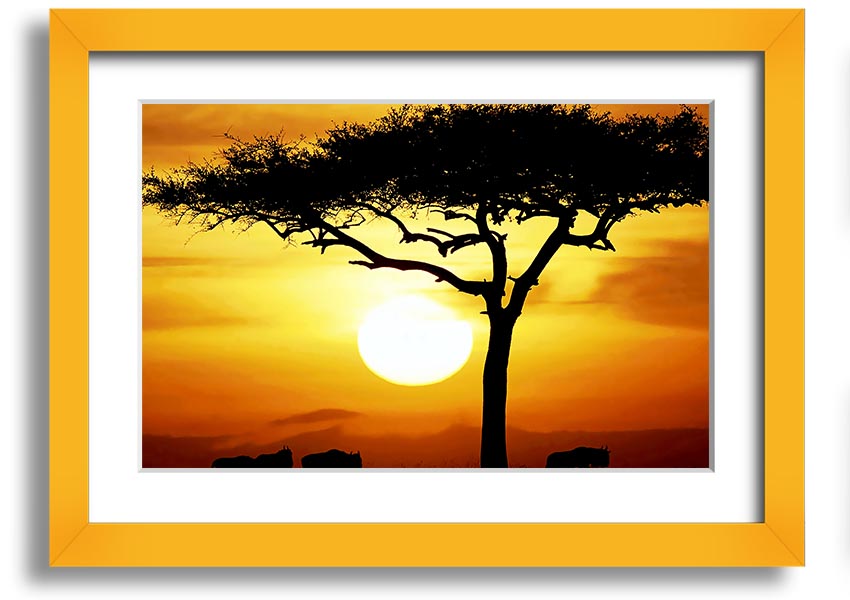 Framed print of an African safari tree illuminated by sunlight, showcasing vibrant colors and intricate details.