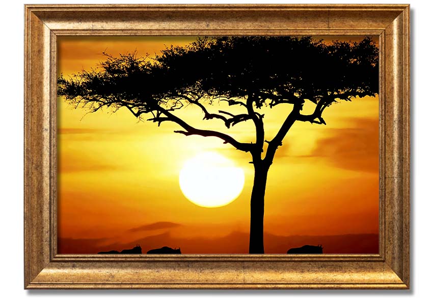 Framed print of an African safari tree illuminated by sunlight, showcasing vibrant colors and intricate details.