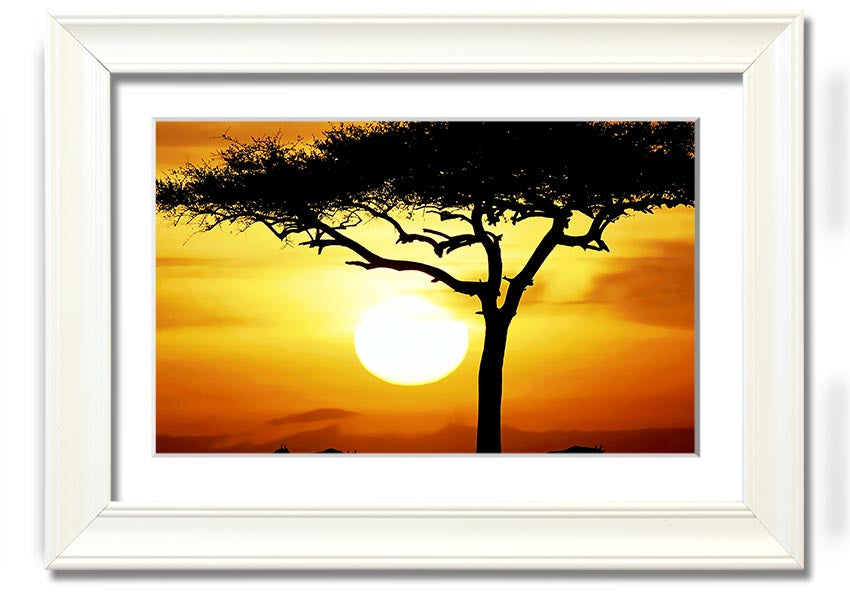 Framed print of an African safari tree illuminated by sunlight, showcasing vibrant colors and intricate details.