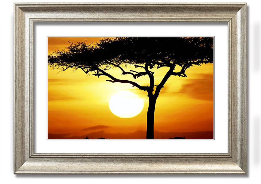 Framed print of an African safari tree illuminated by sunlight, showcasing vibrant colors and intricate details.