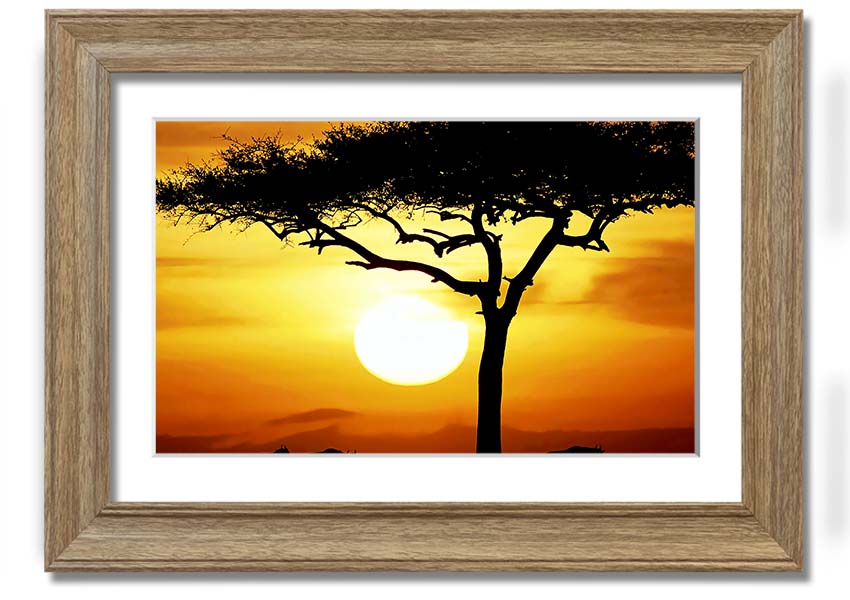 Framed print of an African safari tree illuminated by sunlight, showcasing vibrant colors and intricate details.