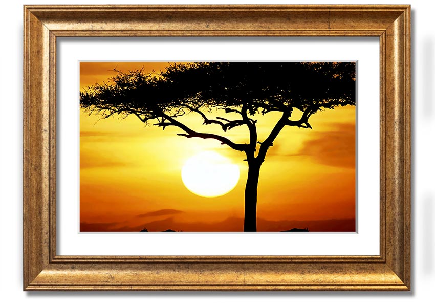 Framed print of an African safari tree illuminated by sunlight, showcasing vibrant colors and intricate details.