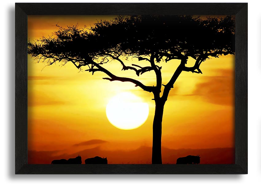 Framed print of an African safari tree illuminated by sunlight, showcasing vibrant colors and intricate details.