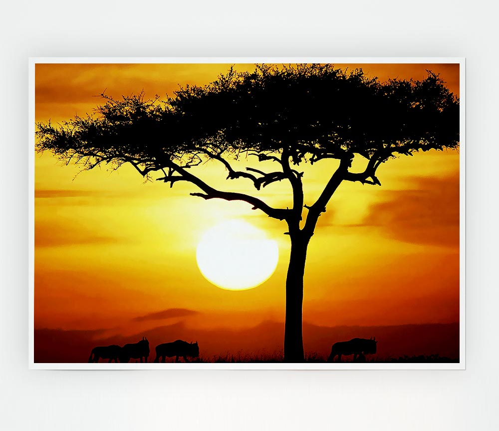 A vibrant canvas poster of an African tree illuminated by sunlight, showcasing intricate details and rich colors.