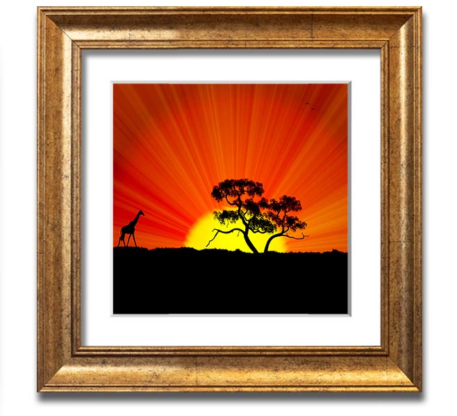 African Sunblaze Square Framed Print with vibrant colors and unique design, handmade in the UK.