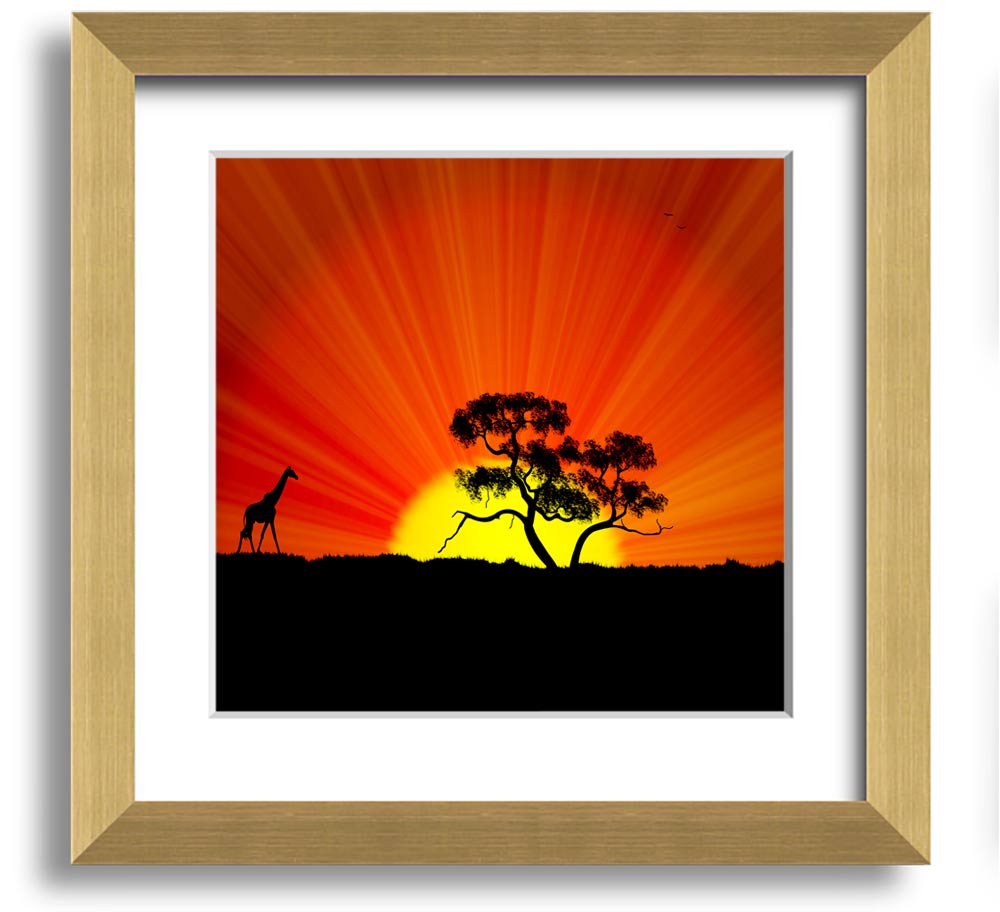 African Sunblaze Square Framed Print with vibrant colors and unique design, handmade in the UK.