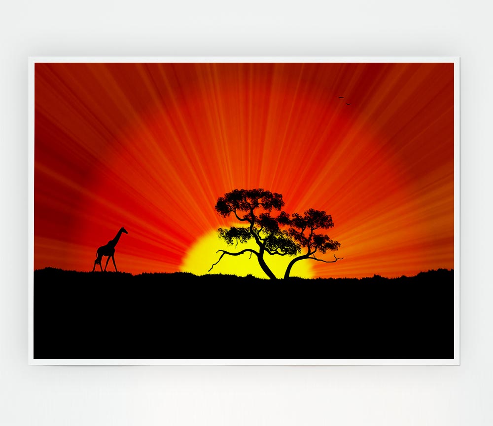 Vibrant African Sunblaze canvas poster showcasing rich colors and intricate design.