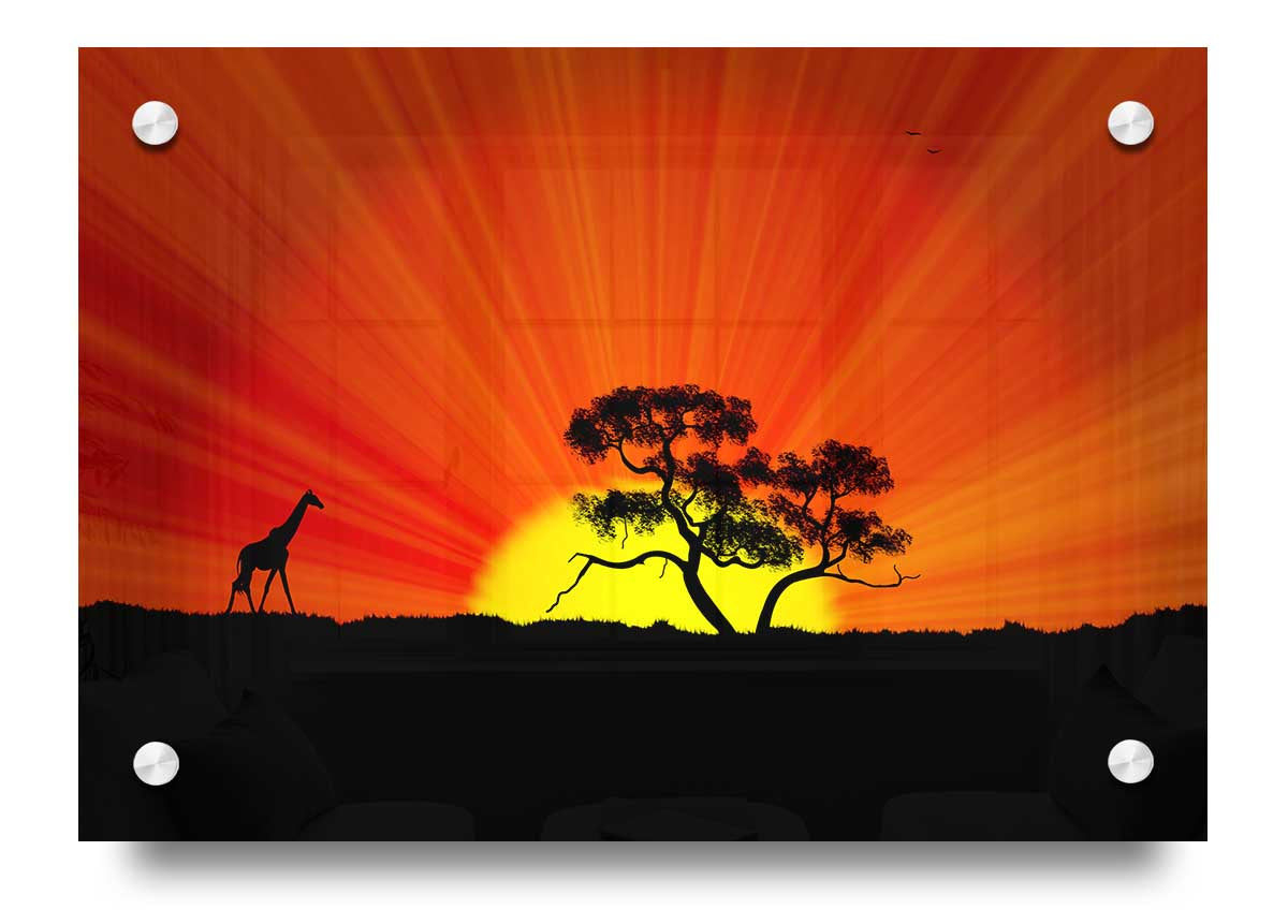 Vibrant African Sunblaze acrylic print on 5mm thick glass, showcasing colorful design ready for wall hanging.