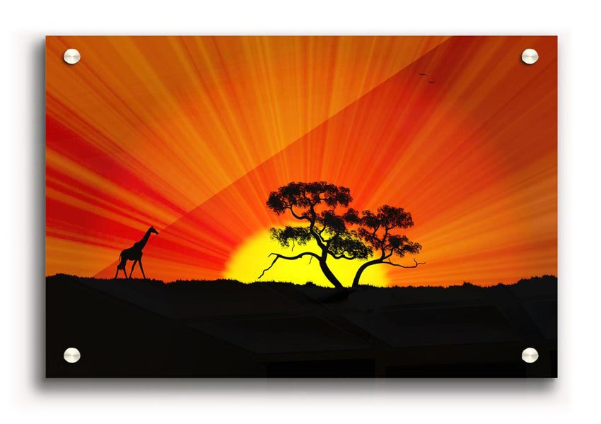 Vibrant African Sunblaze acrylic print on 5mm thick glass, showcasing colorful design ready for wall hanging.