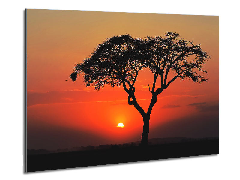 A vibrant artwork depicting an African sunset printed on brushed aluminium dibond, showcasing warm colors and intricate details.