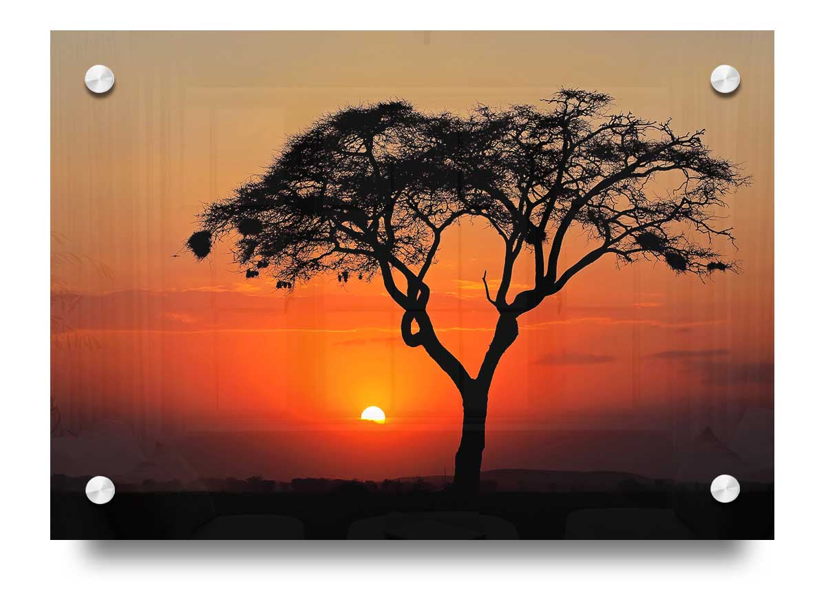 A vibrant acrylic print of an African sunset, showcasing rich colors and stunning landscape details, ready to hang on a wall.