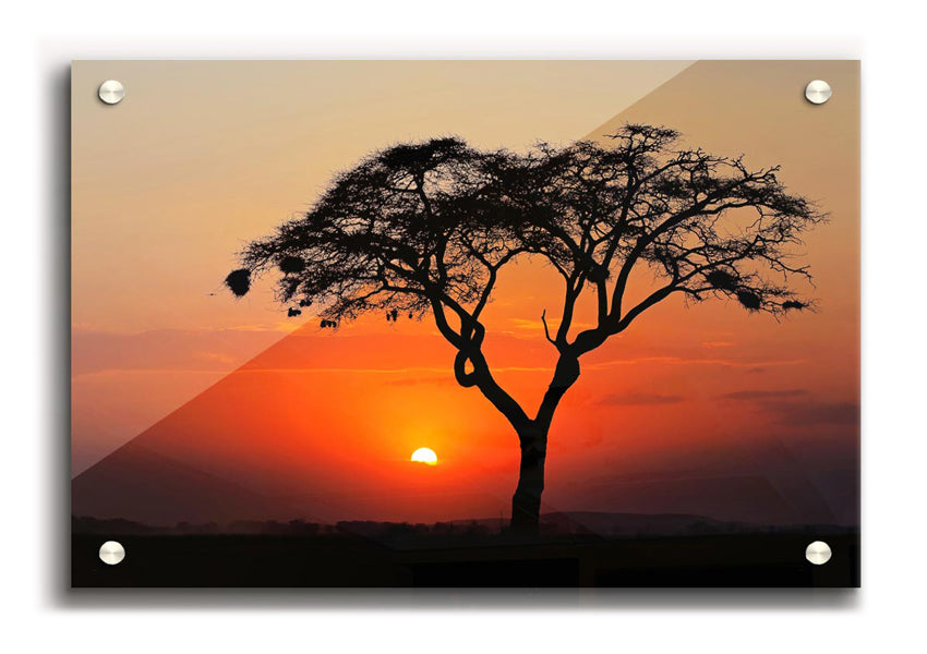 A vibrant acrylic print of an African sunset, showcasing rich colors and stunning landscape details, ready to hang on a wall.