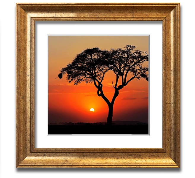 A beautifully framed print of an African sunset, showcasing vibrant colors and serene landscapes, ready to hang.