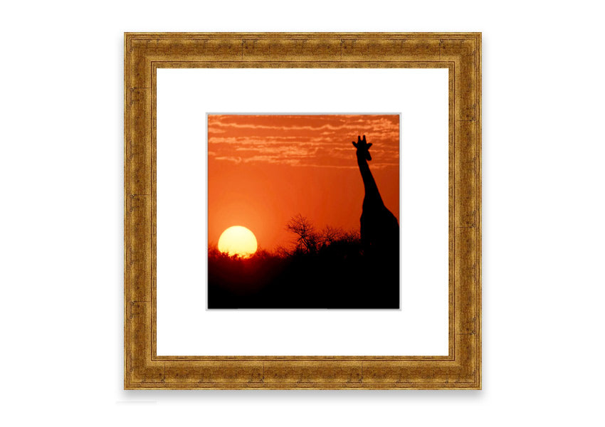 Framed print of an African sunset with a giraffe silhouette, showcasing vibrant colors and elegant design.