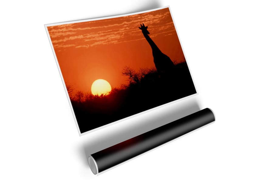 A beautiful canvas poster featuring a giraffe silhouette against a vibrant African sunset.