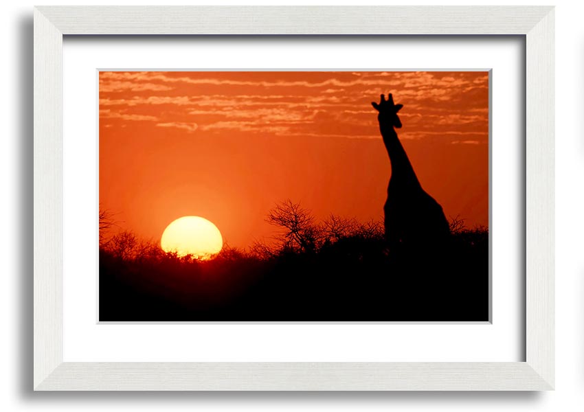 Framed print of a giraffe against a vibrant African sunset, showcasing warm colors.