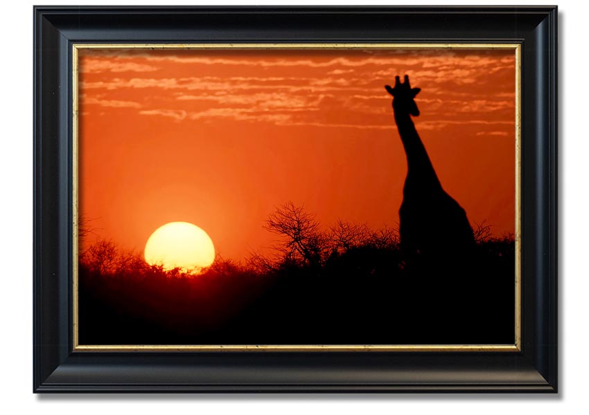 Framed print of a giraffe against a vibrant African sunset, showcasing warm colors.