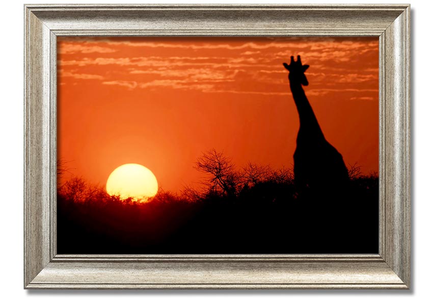 Framed print of a giraffe against a vibrant African sunset, showcasing warm colors.