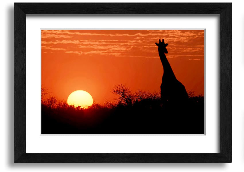 Framed print of a giraffe against a vibrant African sunset, showcasing warm colors.