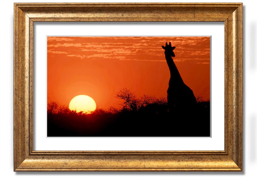 Framed print of a giraffe against a vibrant African sunset, showcasing warm colors.