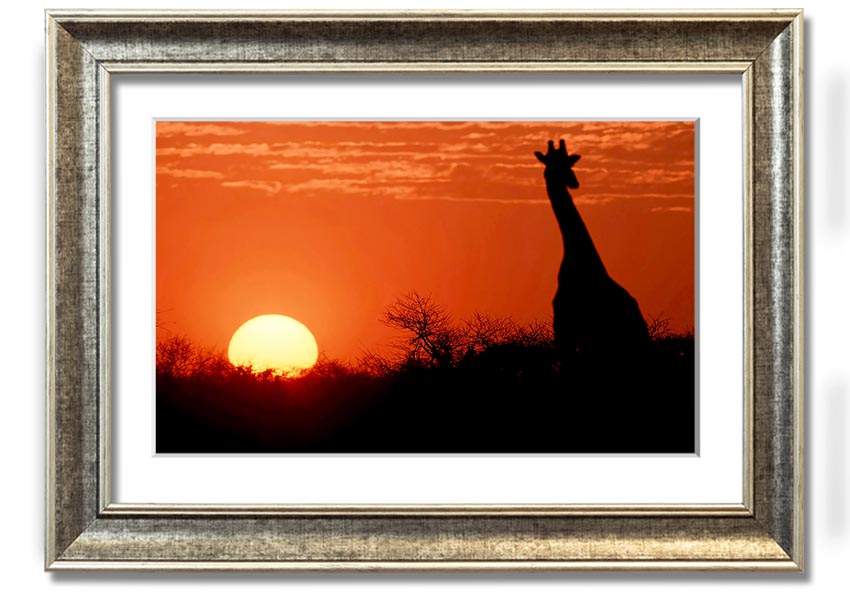 Framed print of a giraffe against a vibrant African sunset, showcasing warm colors.