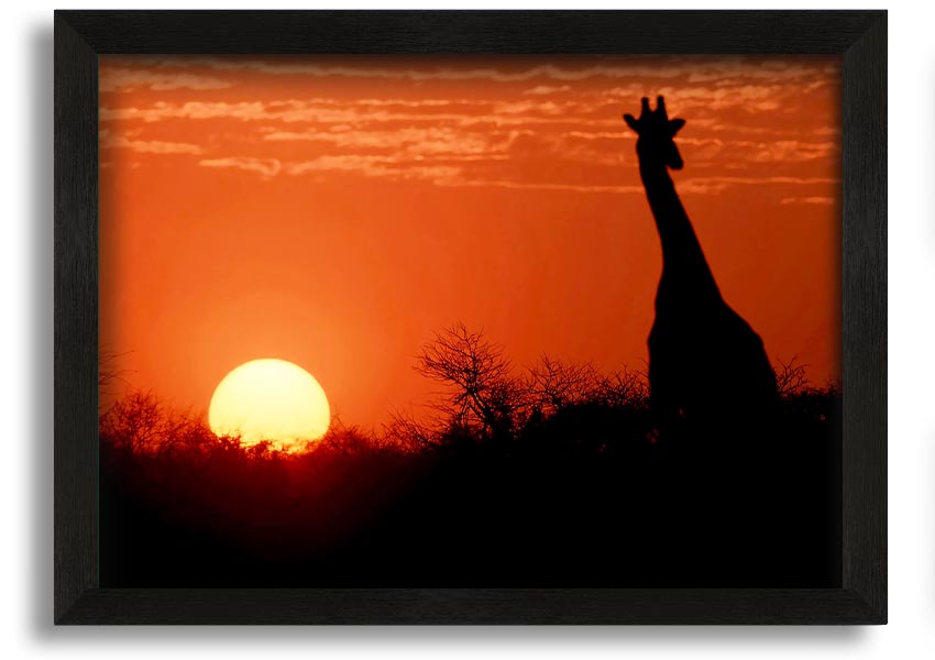 Framed print of a giraffe against a vibrant African sunset, showcasing warm colors.