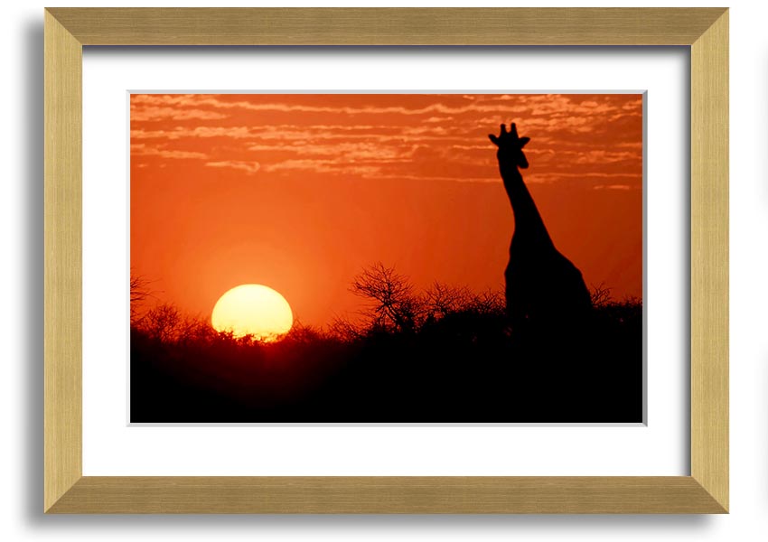 Framed print of a giraffe against a vibrant African sunset, showcasing warm colors.