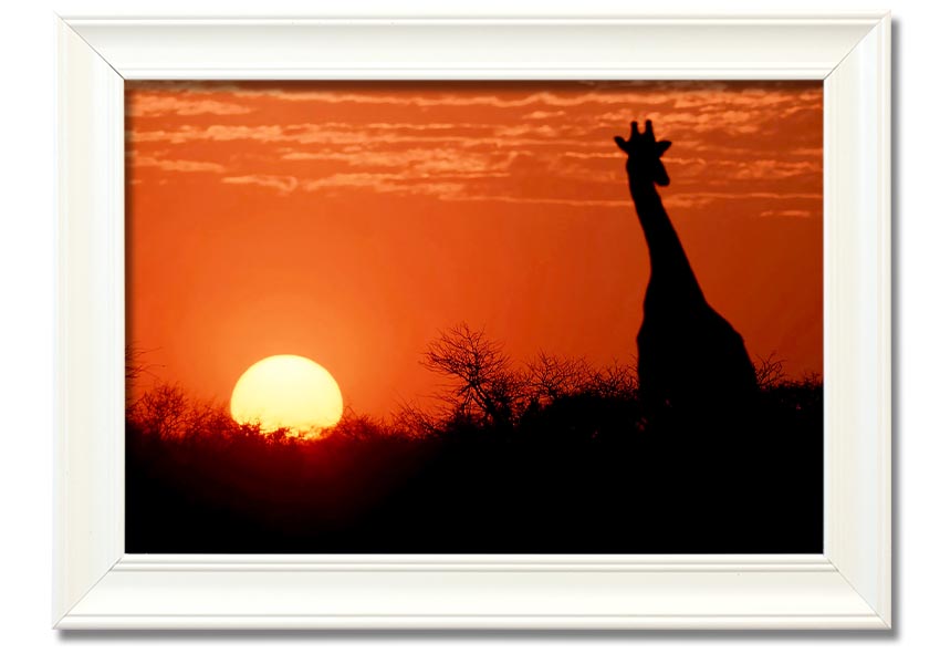 Framed print of a giraffe against a vibrant African sunset, showcasing warm colors.