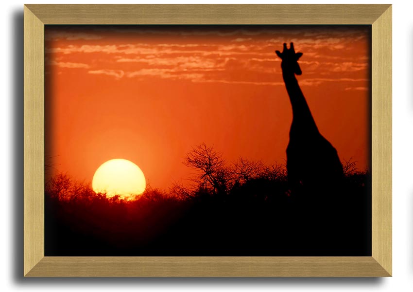 Framed print of a giraffe against a vibrant African sunset, showcasing warm colors.