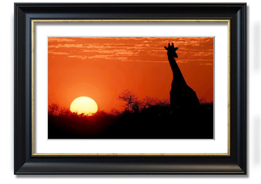 Framed print of a giraffe against a vibrant African sunset, showcasing warm colors.