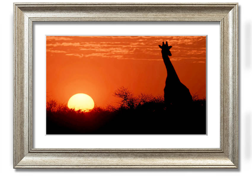 Framed print of a giraffe against a vibrant African sunset, showcasing warm colors.