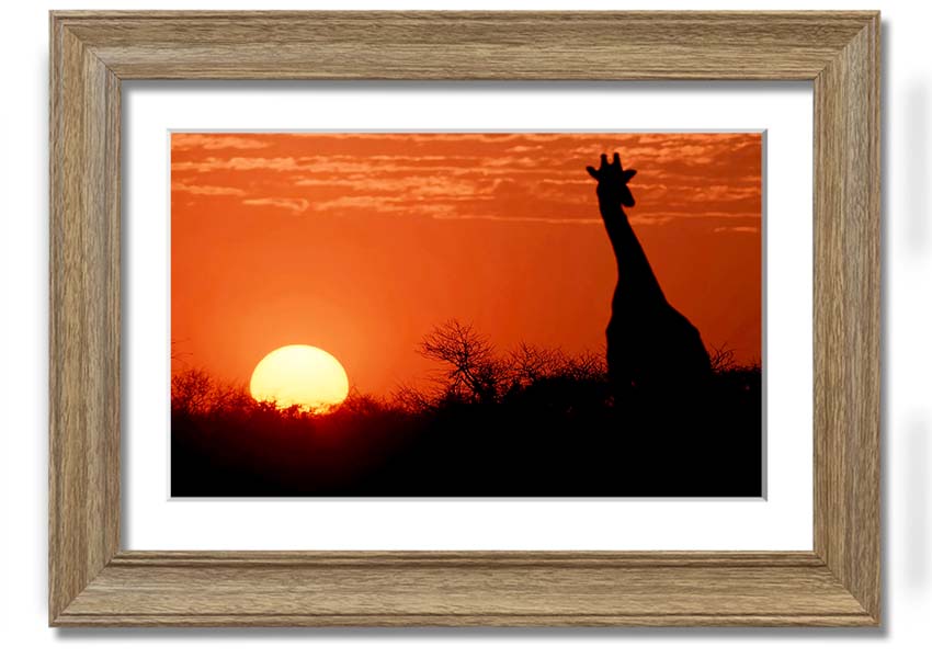 Framed print of a giraffe against a vibrant African sunset, showcasing warm colors.