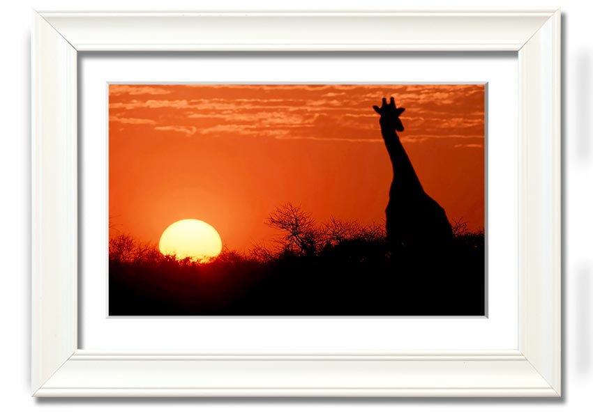 Framed print of a giraffe against a vibrant African sunset, showcasing warm colors.